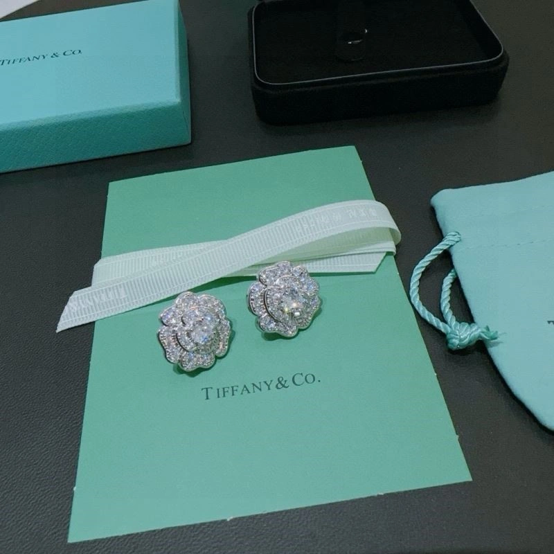 Tiffany Earrings EasyMatch 253209