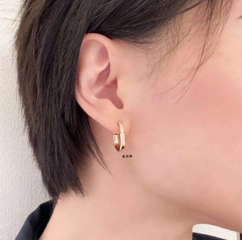 Comfortable Tiffany Earrings 253237