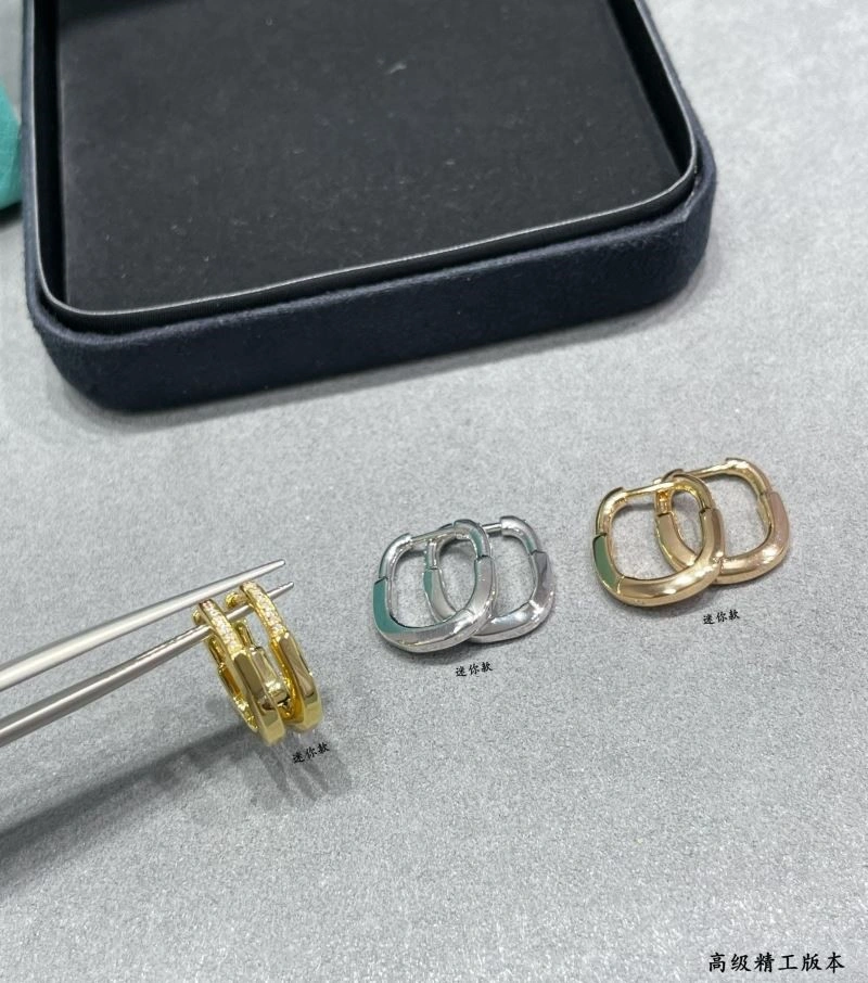 Comfortable Tiffany Earrings 253237