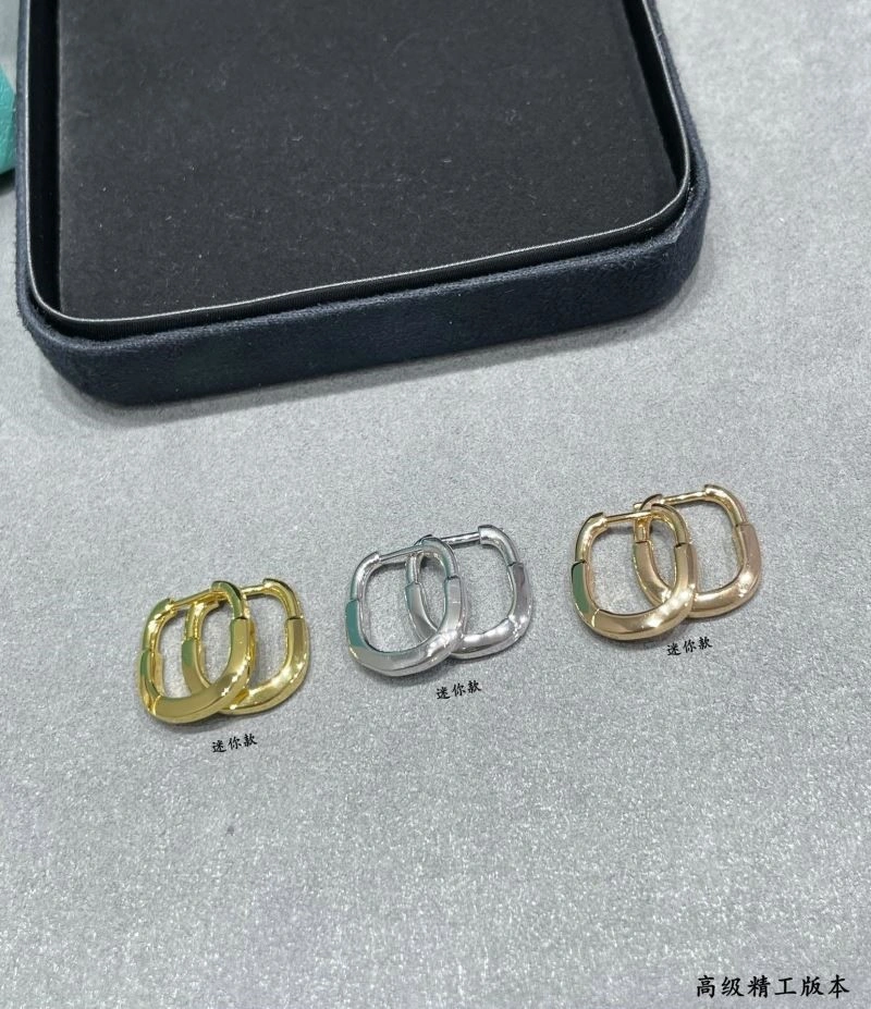 Comfortable Tiffany Earrings 253237