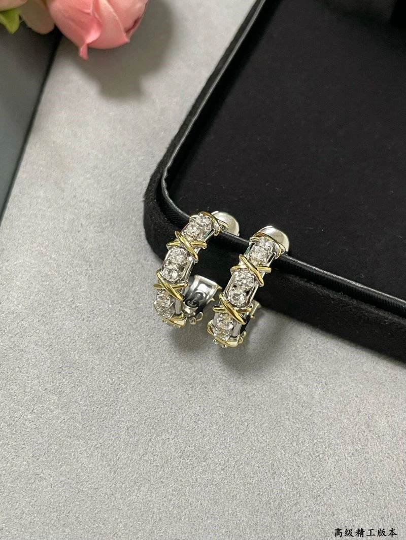 Tiffany Earrings NewStyle 253219