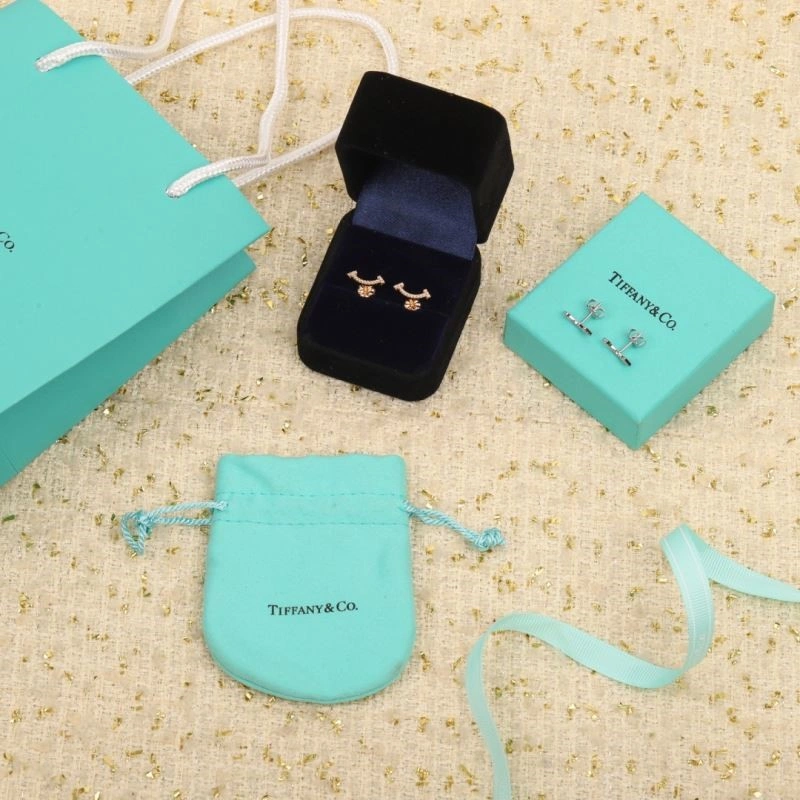 Tiffany Earrings Sleek 253241