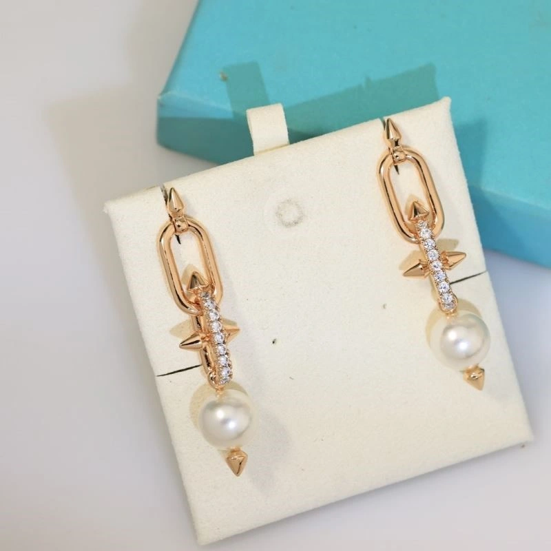 Tiffany Earrings Minimalist 253217