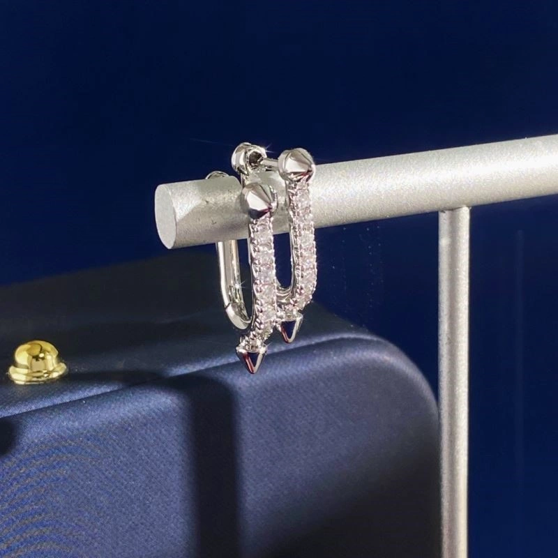 Youthful Tiffany Earrings 253224