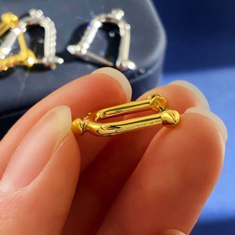 Youthful Tiffany Earrings 253224