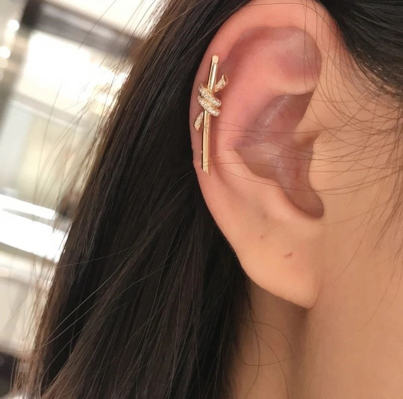 FashionForward Tiffany Earrings 253207