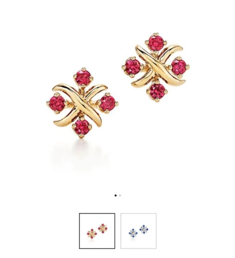 Supportive Tiffany Earrings 253205