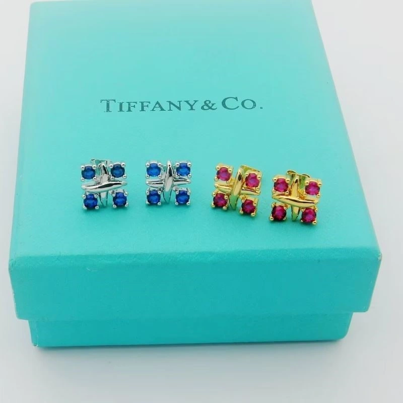 Supportive Tiffany Earrings 253205