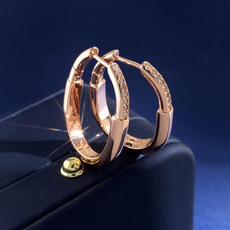 Tiffany Earrings Reliable 253204
