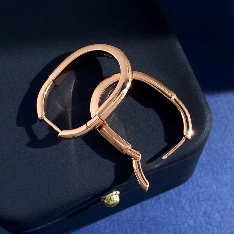 Tiffany Earrings Reliable 253204