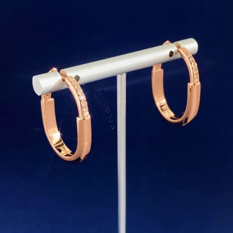 Tiffany Earrings Reliable 253204