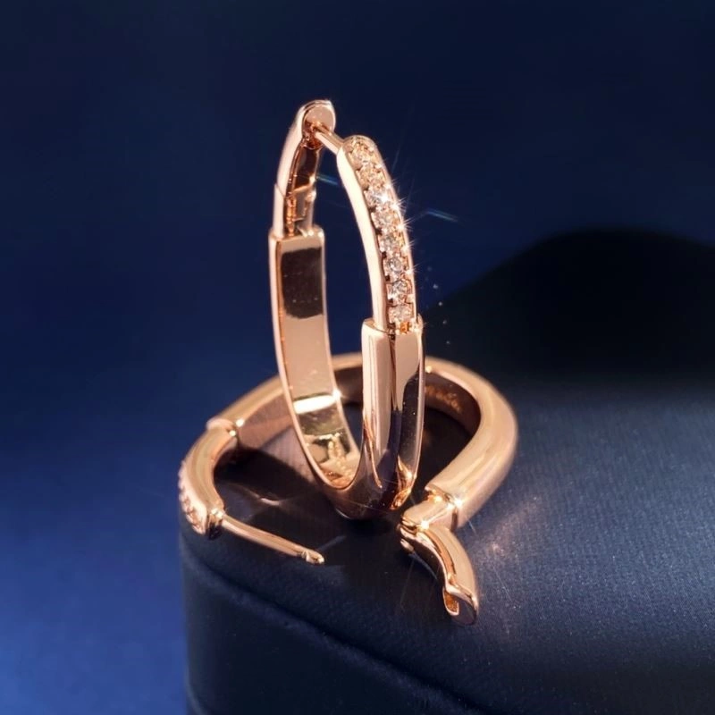 Tiffany Earrings Reliable 253204