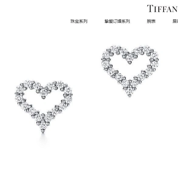Tiffany Earrings TravelReady 253180