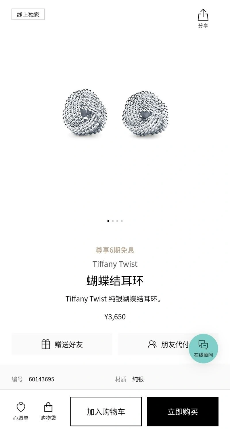 Tiffany Earrings ZipUp 253172
