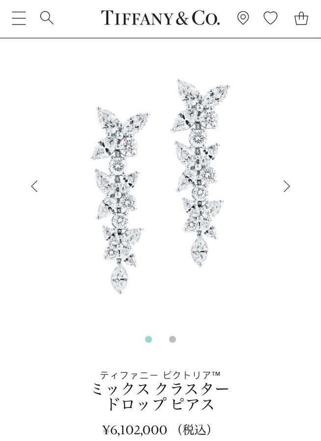 Tiffany Earrings Sporty 253177