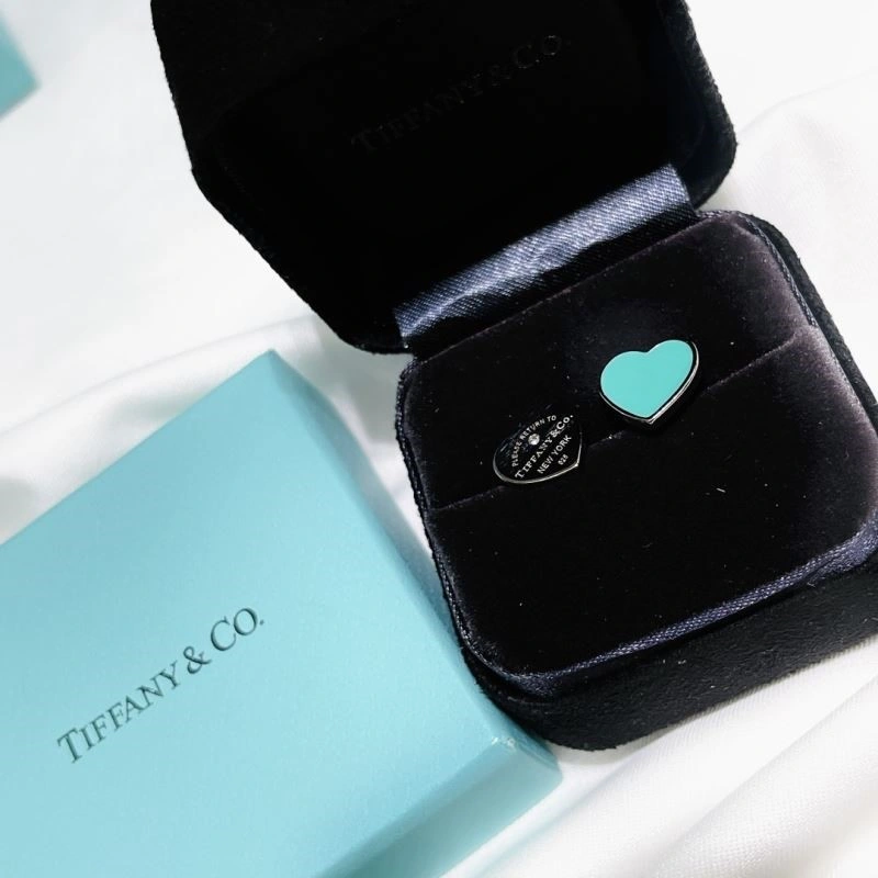 Elegant Tiffany Earrings 253171