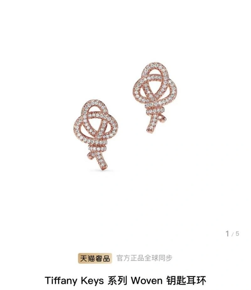 Youthful Tiffany Earrings 253169