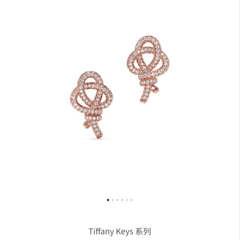 Tiffany Earrings GoodFit 253178