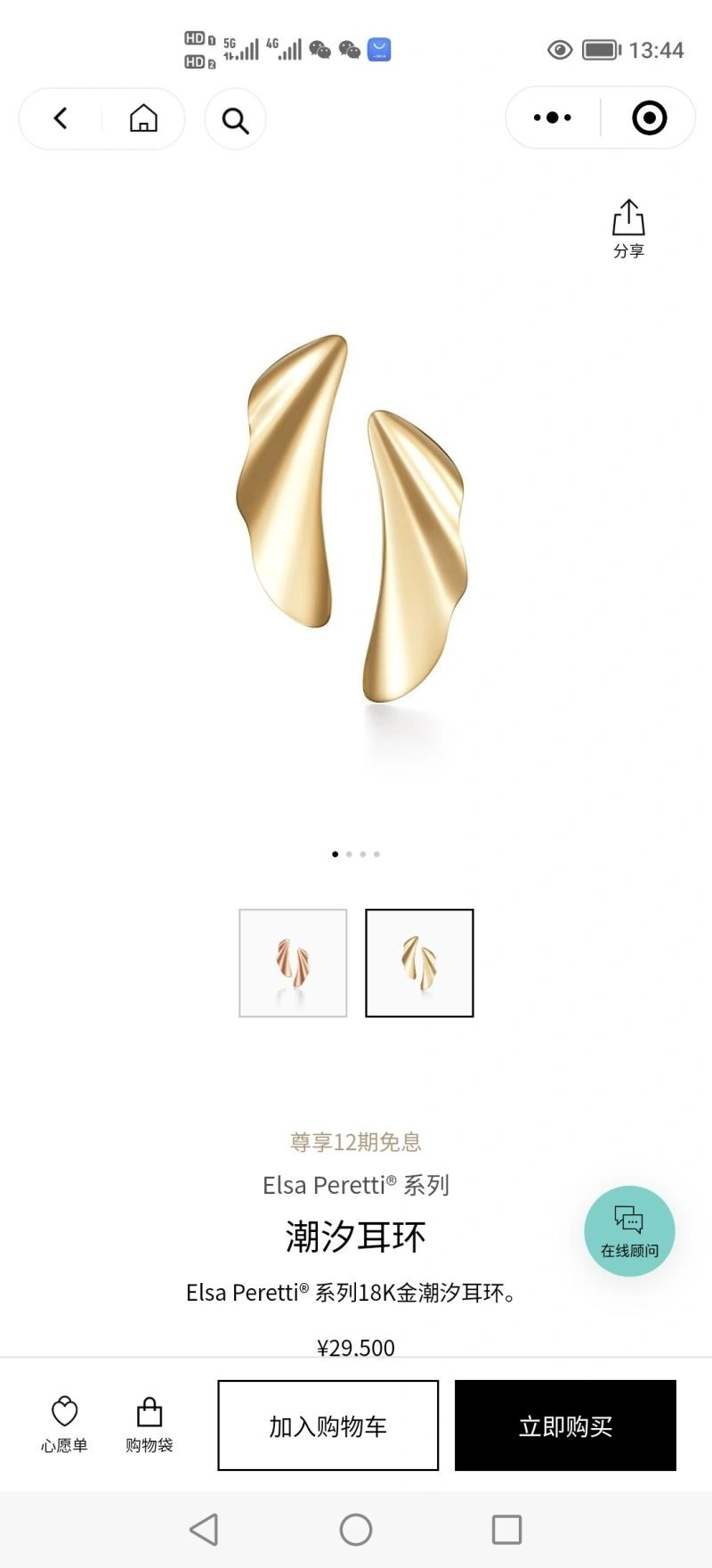 Tiffany Earrings FlexibleFit 253193
