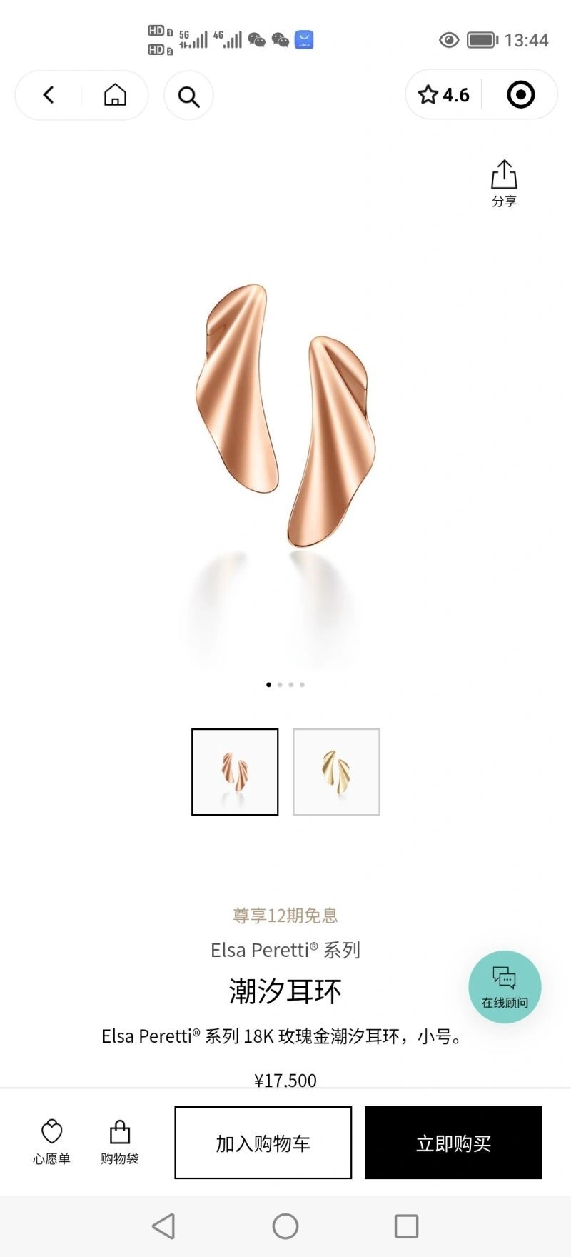 Tiffany Earrings FlexibleFit 253193