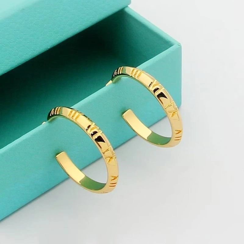 Tiffany Earrings Unique 253186