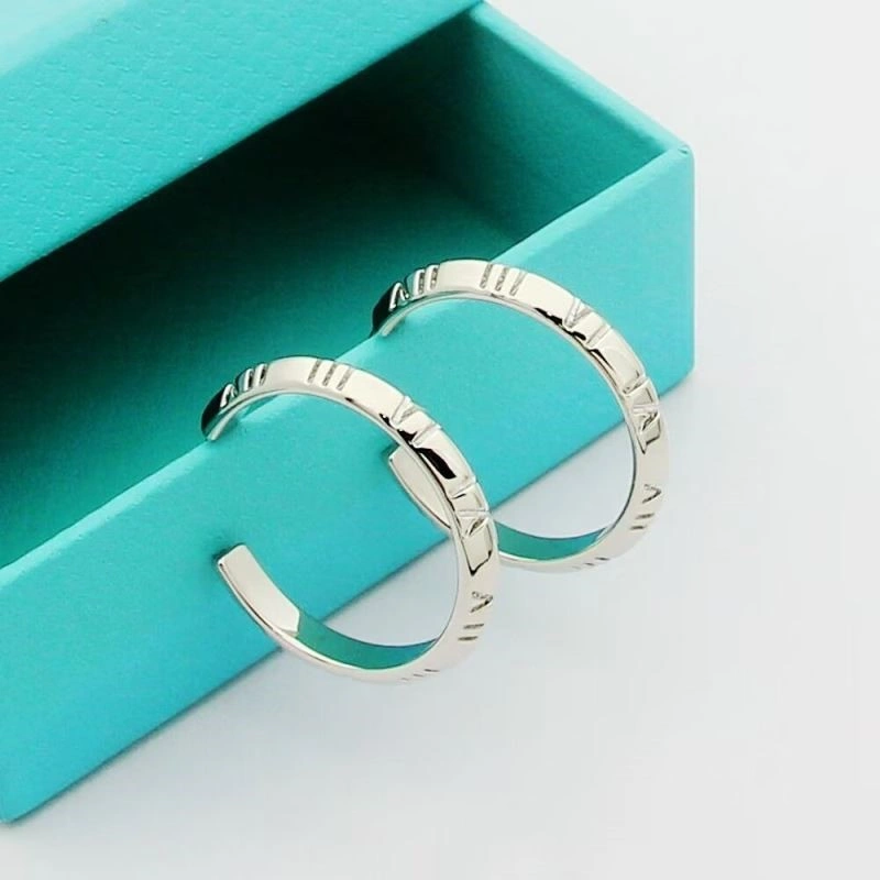 Tiffany Earrings Unique 253186