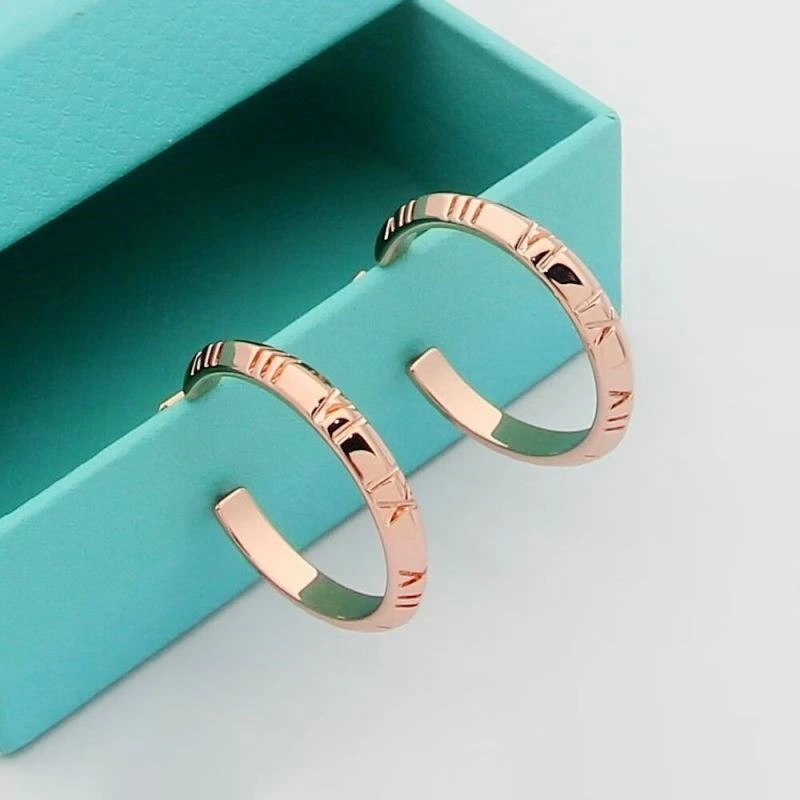Tiffany Earrings Unique 253186