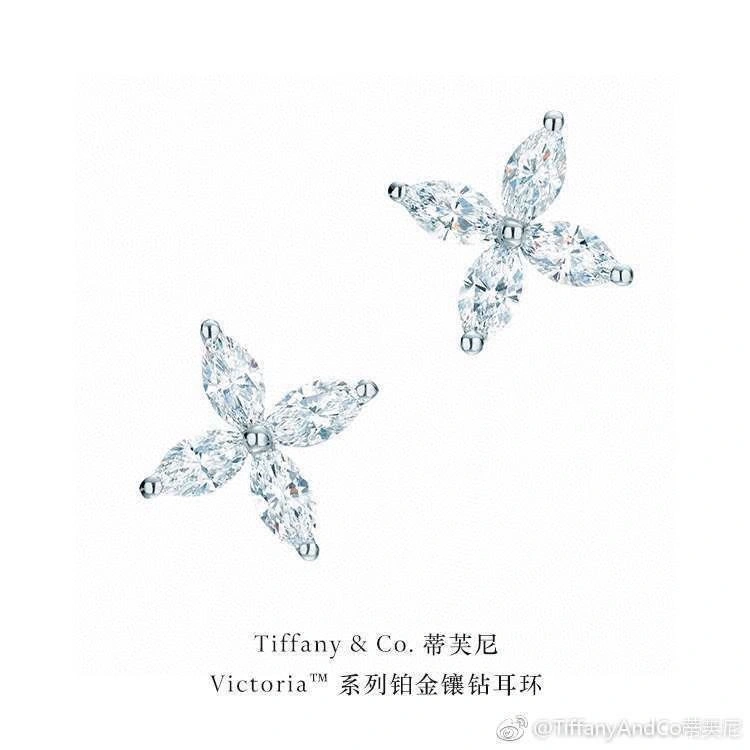 HighPerformance Tiffany Earrings 253176