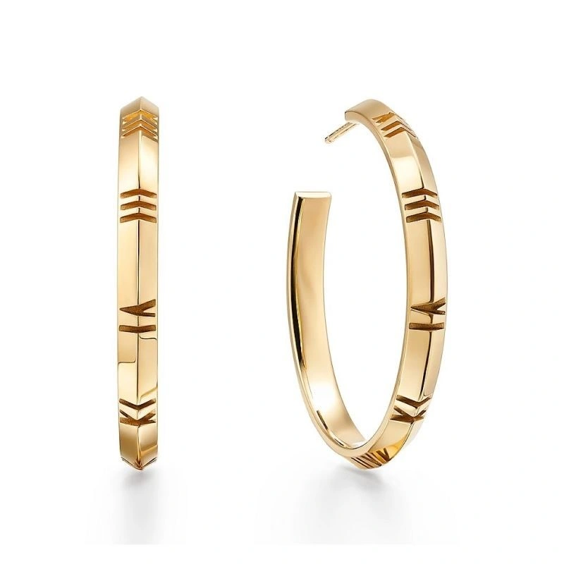 Tiffany Earrings FreshLook 253184