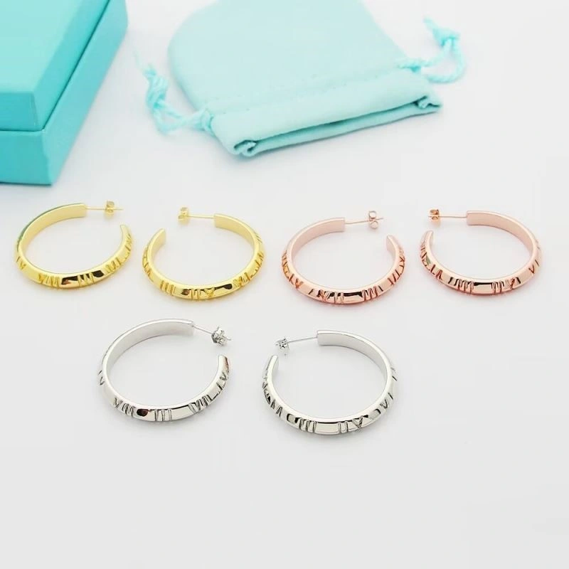 Tiffany Earrings FreshLook 253184