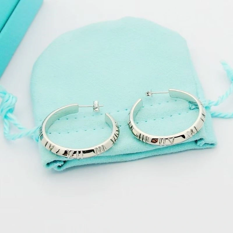 Tiffany Earrings FreshLook 253184