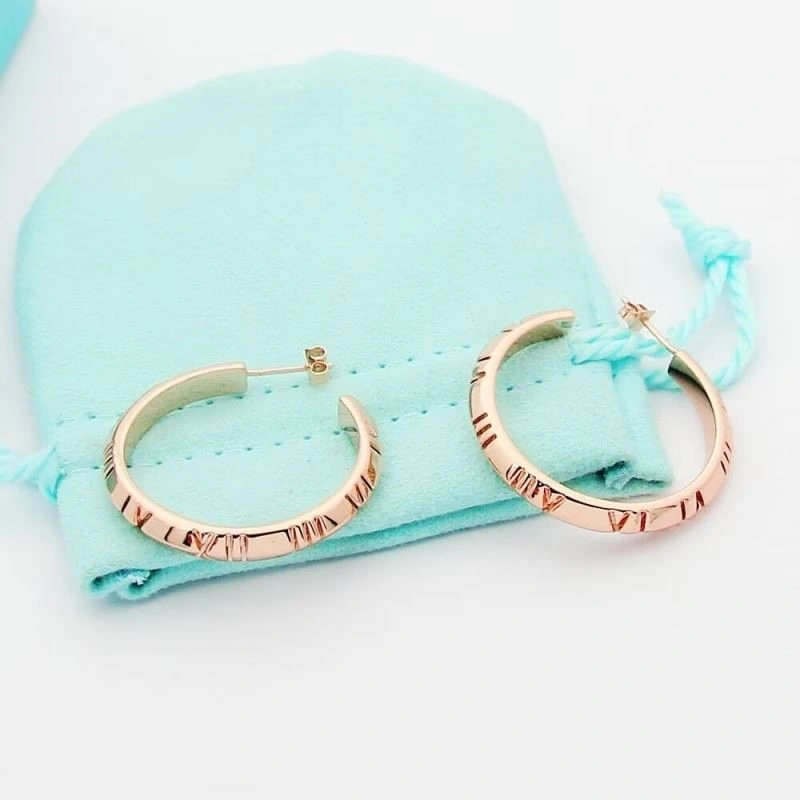 Tiffany Earrings FreshLook 253184