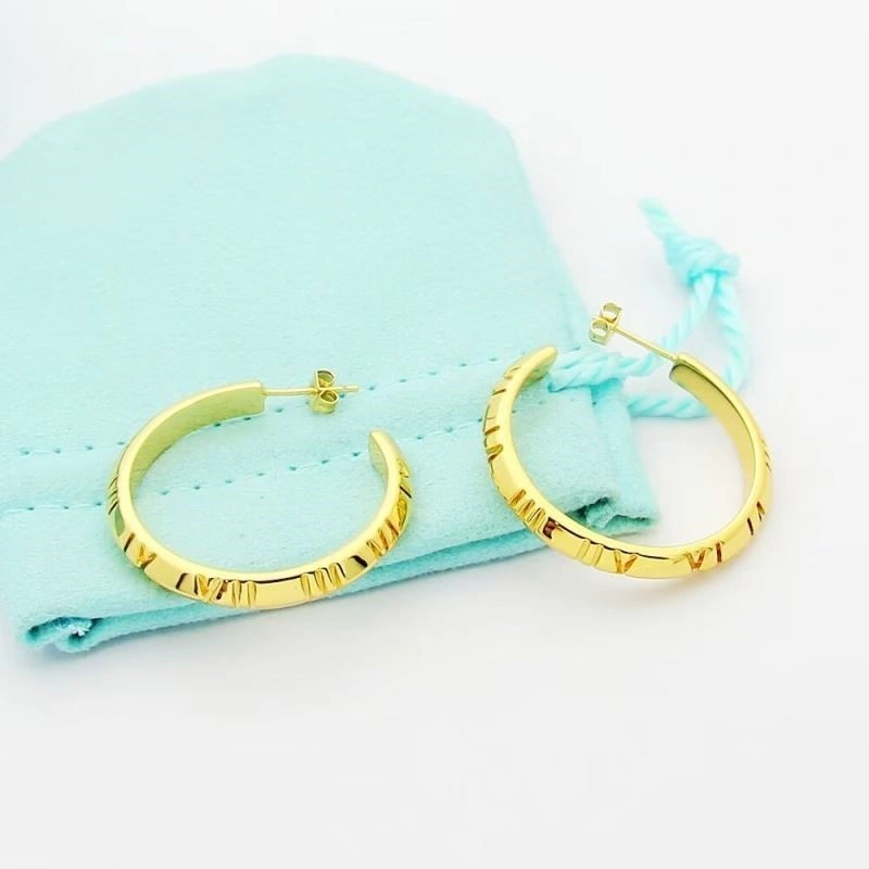Tiffany Earrings FreshLook 253184