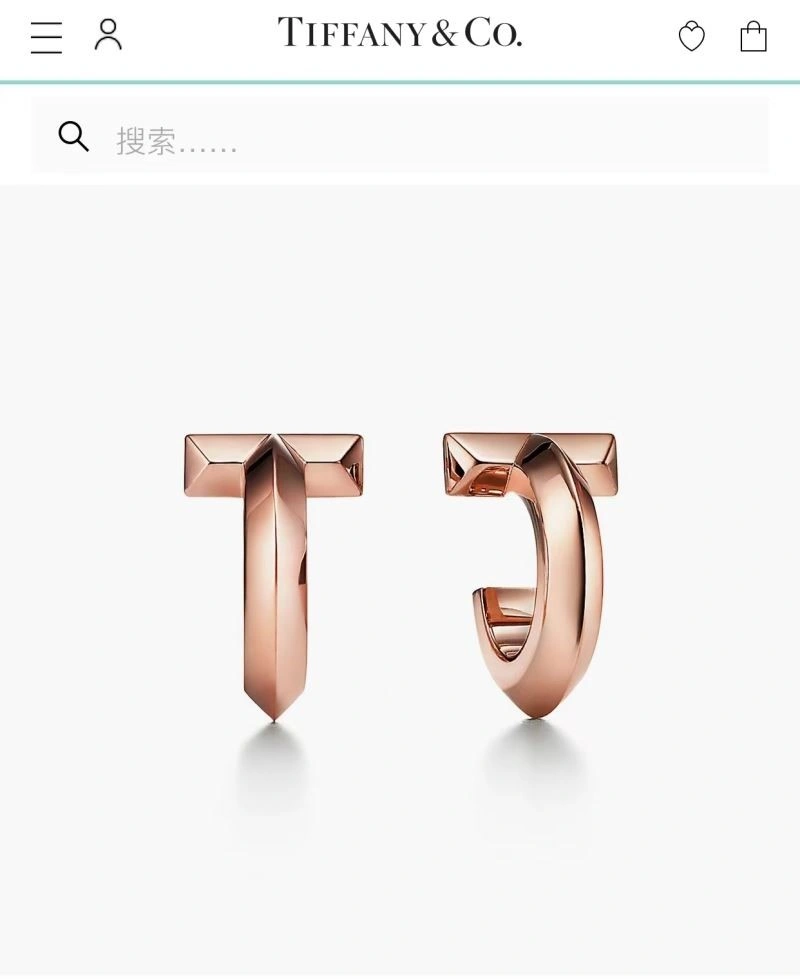 Tiffany Earrings Bright 253164