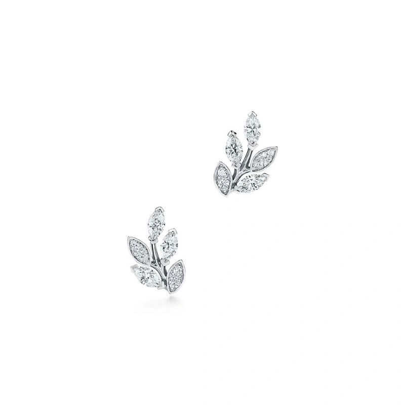 Vibrant Tiffany Earrings 253162