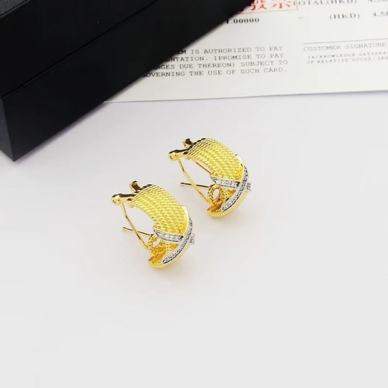 Tiffany Earrings Chic 253161