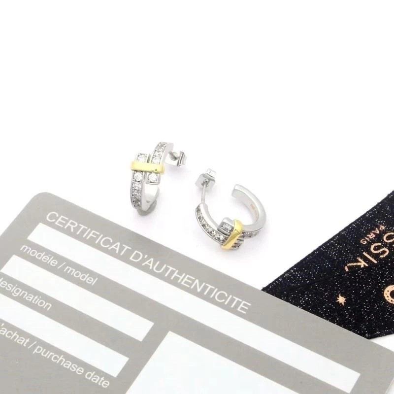Tiffany Earrings FashionForward 253134