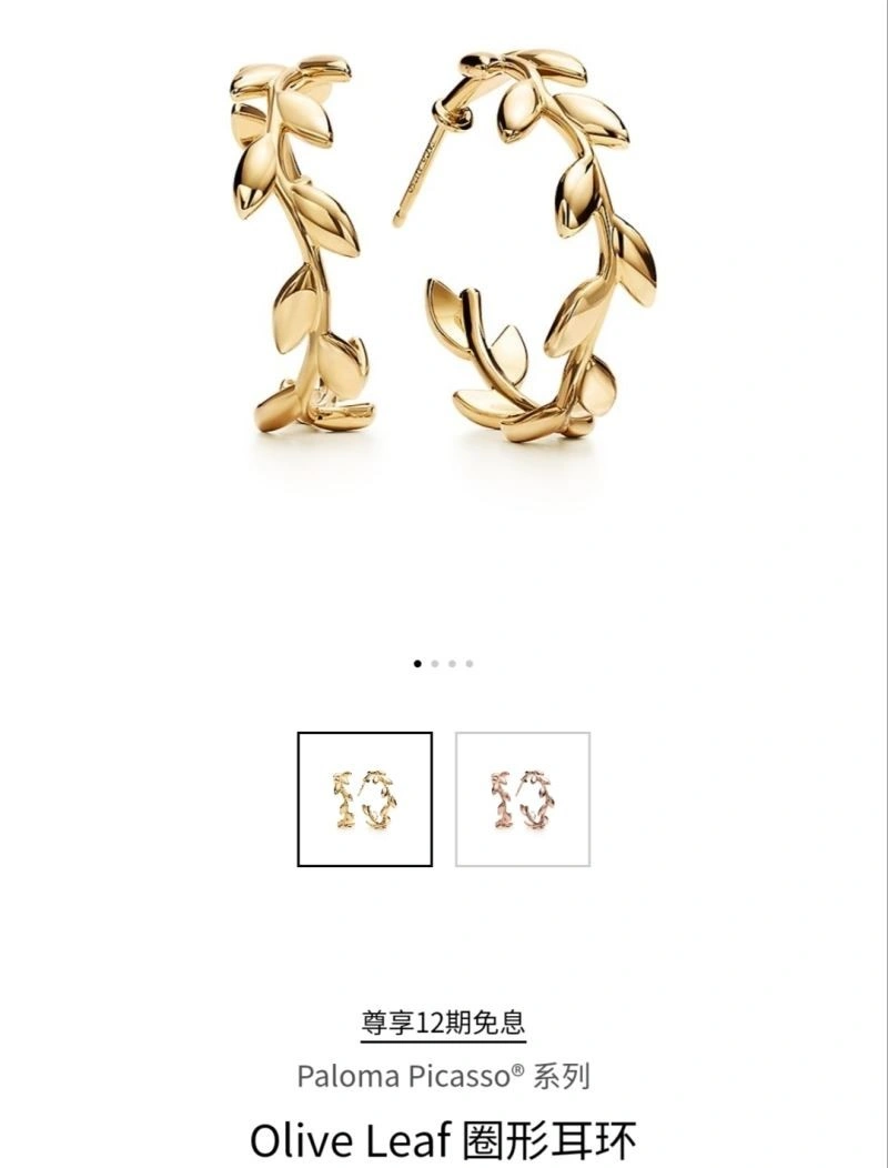 Casual Tiffany Earrings 253154