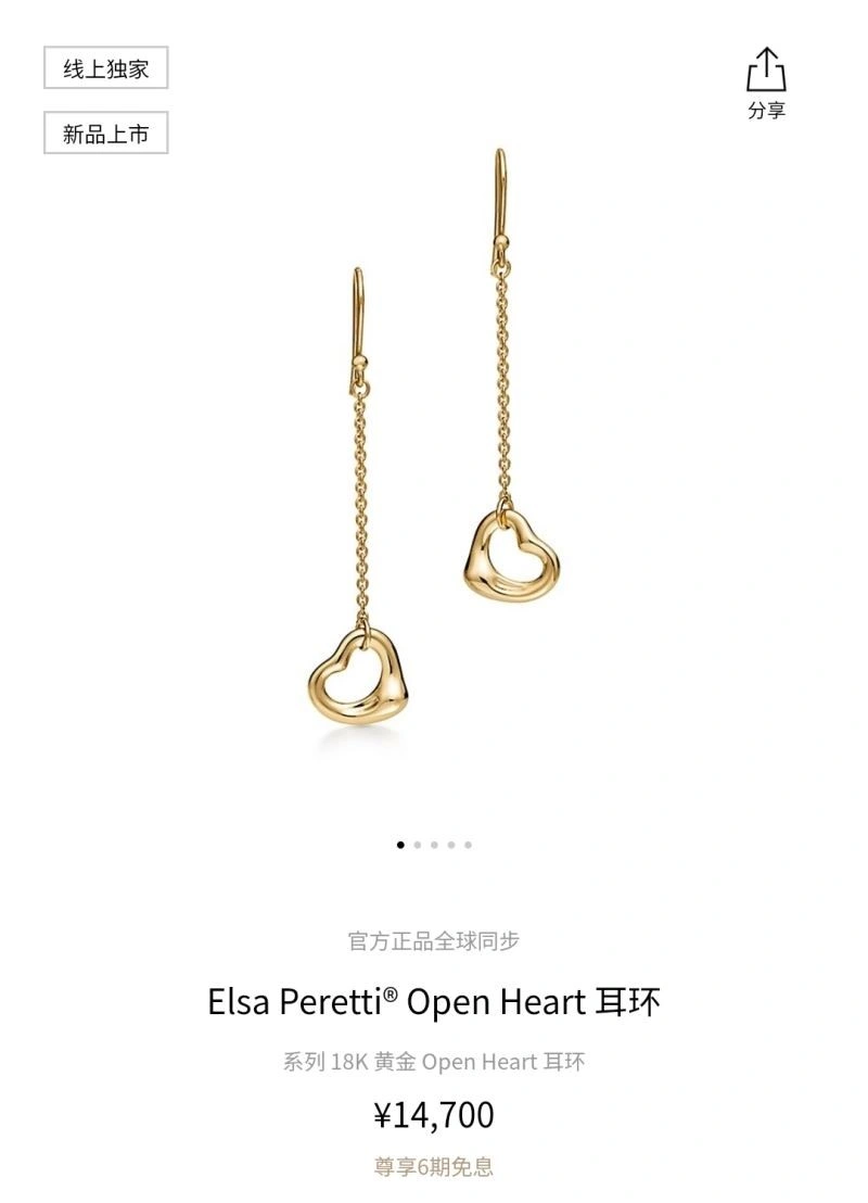 Tiffany Earrings Casual 253142