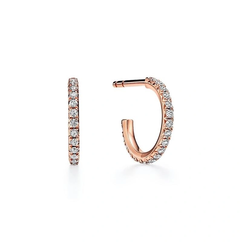Versatile Tiffany Earrings 253140