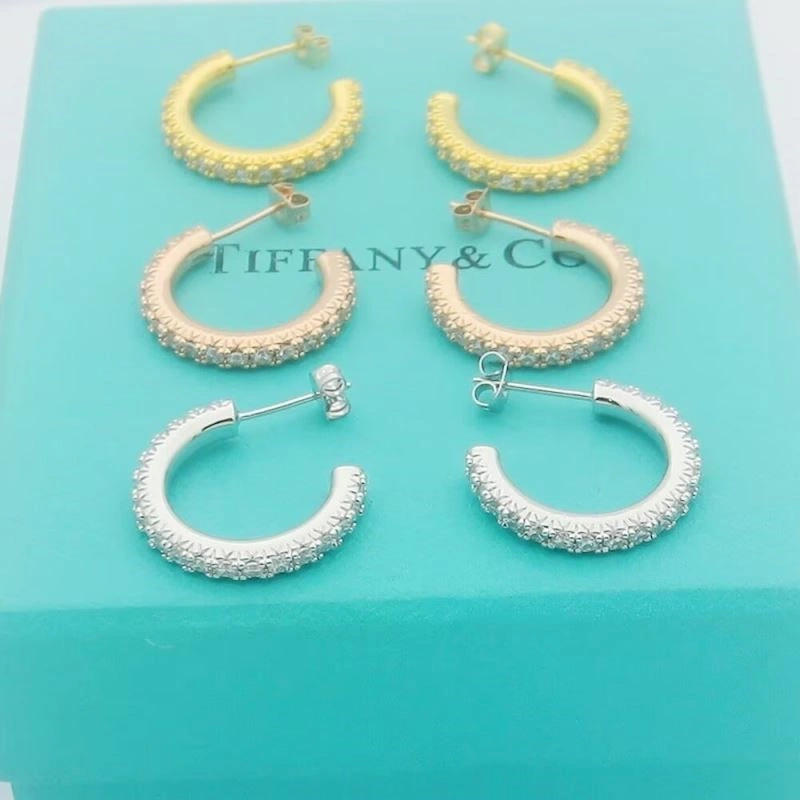 Versatile Tiffany Earrings 253140