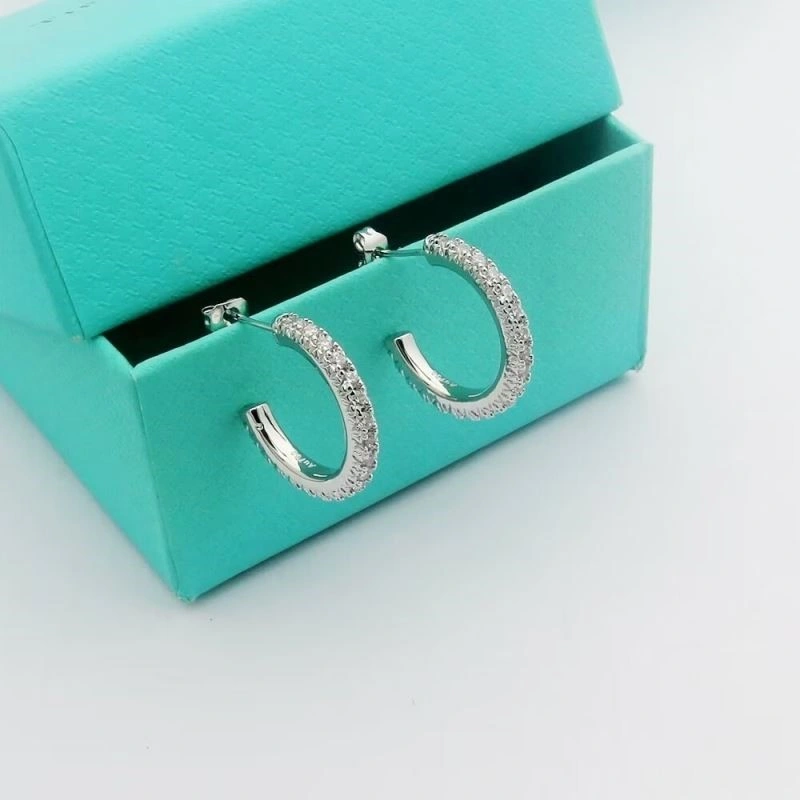 Versatile Tiffany Earrings 253140