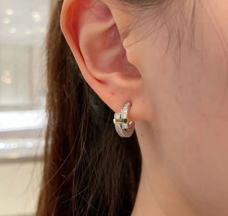 Soft Tiffany Earrings 253127