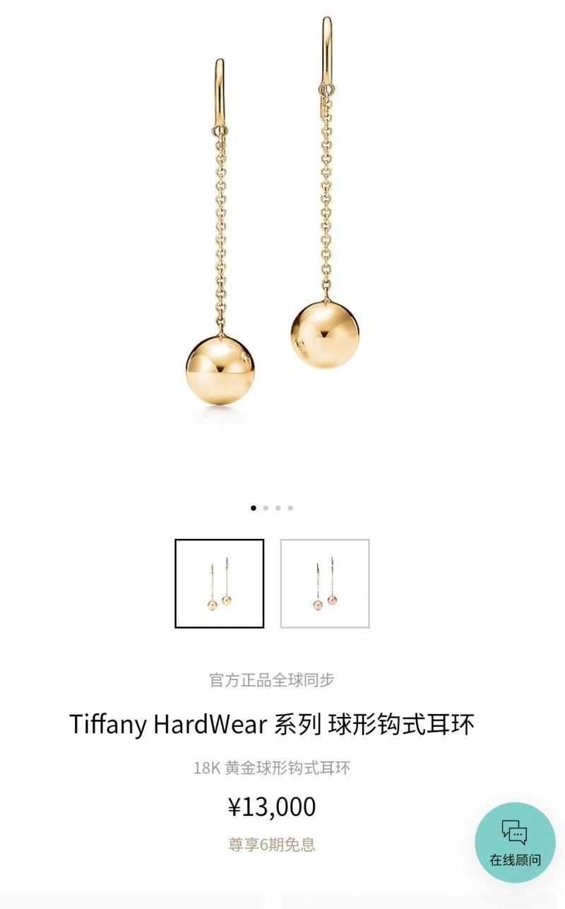 Premium Tiffany Earrings 253149