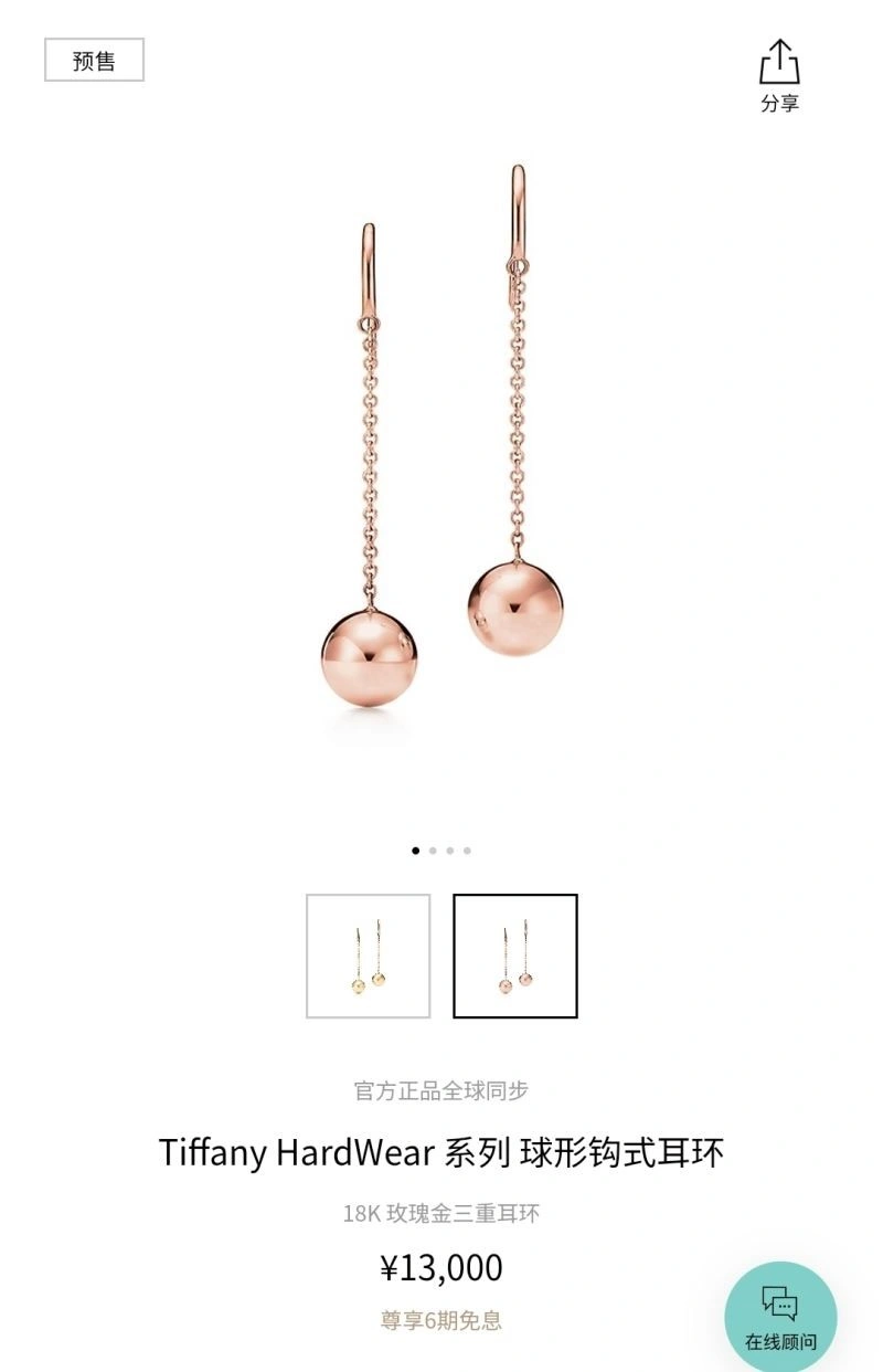 Premium Tiffany Earrings 253149