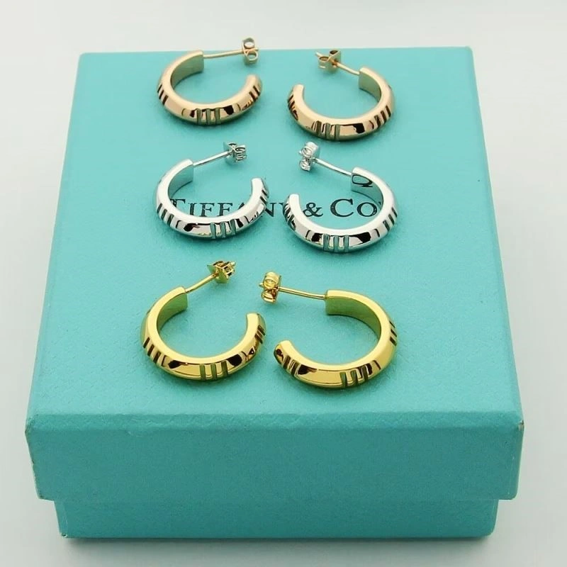 Tiffany Earrings Trendy 253129