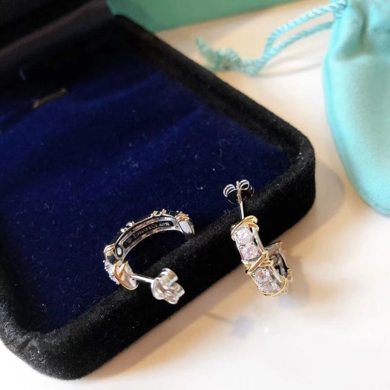 Tiffany Earrings Affordable 253135