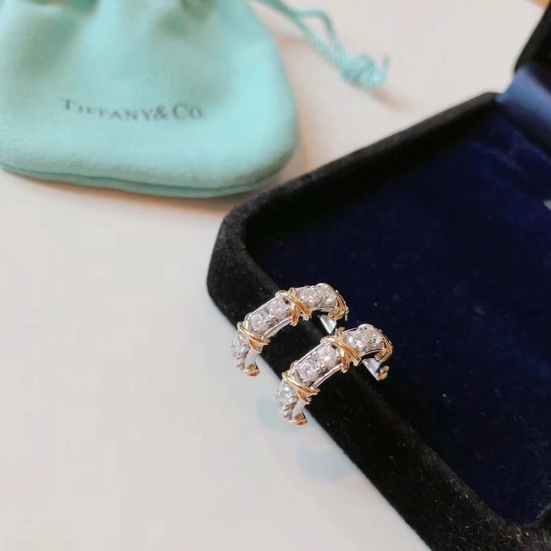 Tiffany Earrings Affordable 253135