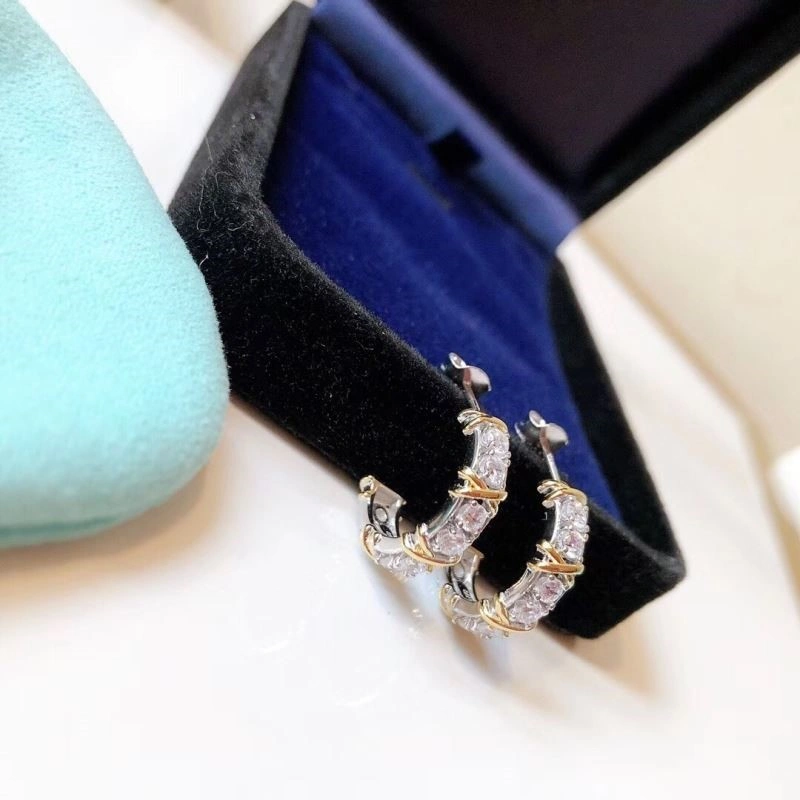 Tiffany Earrings Affordable 253135