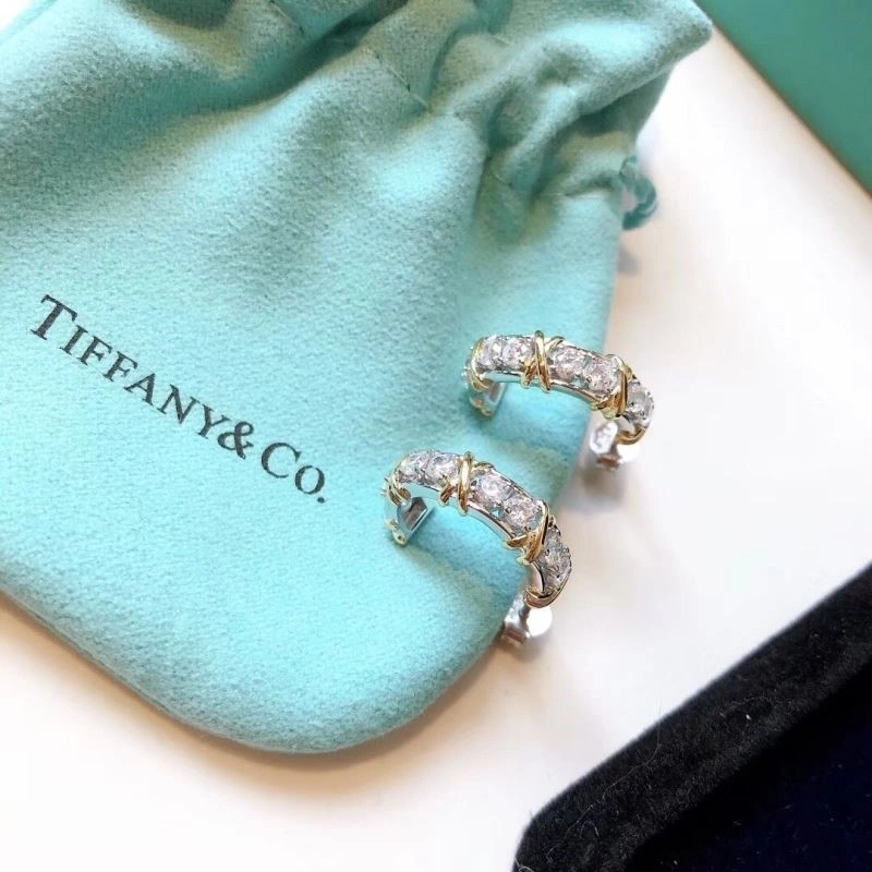 Tiffany Earrings Affordable 253135